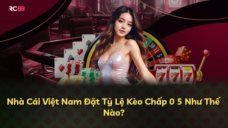 Nhà Cái Việt Nam Đặt Tỷ Lệ Kèo Chấp 0 5 Như Thế Nào?