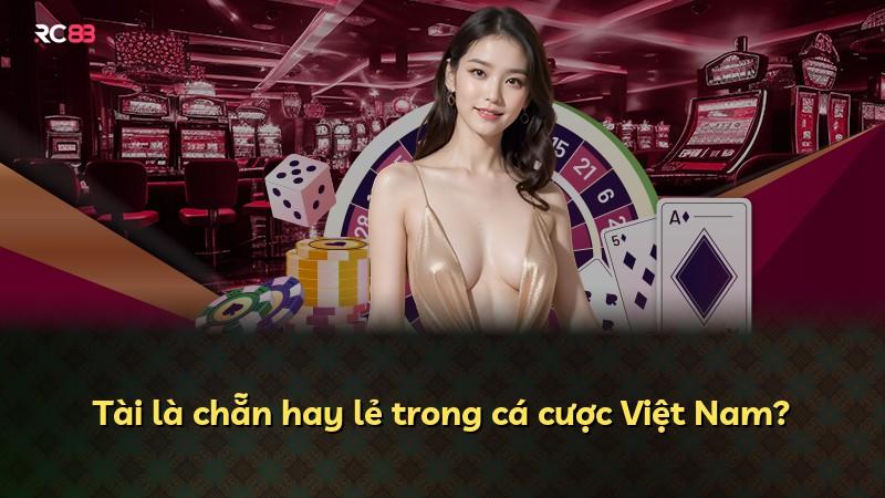 Tài là chẵn hay lẻ trong cá cược Việt Nam?